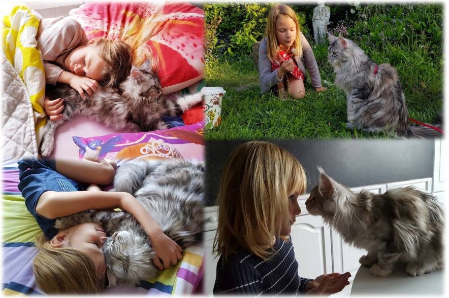 chats, 15 choses à dire à une femme autiste, relation chat autiste