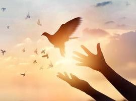 Des mains qui laissent s'envoler un oiseau