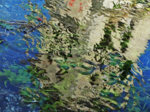 Cynthia Ruiz immortalise sa perception particulière du monde dans son exposition « La symphonie des merveilles »