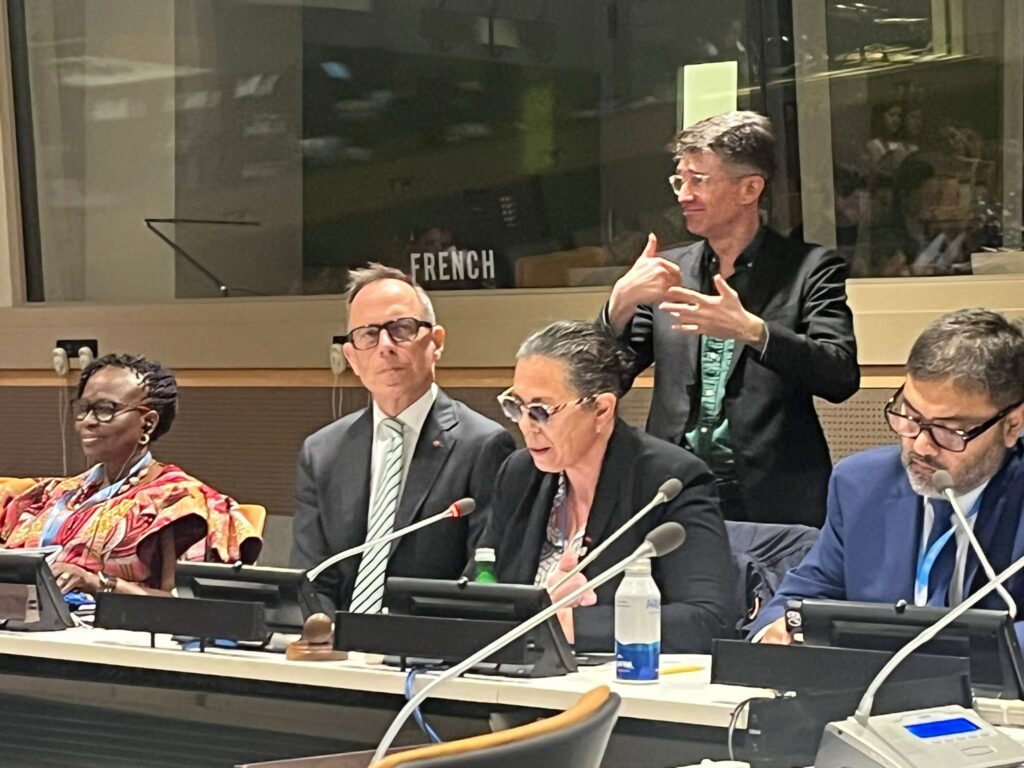 Marie Rabatel, candidate officielle de la France au Comité des droits des personnes handicapées des Nations Unies