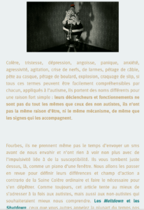 Meltdown & Shutdown autistique, repli & effondrements, en finir sereinement (par Joy)