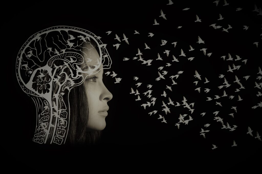 Le cerveau des filles autistes présente des caractéristiques anatomiques distinctes